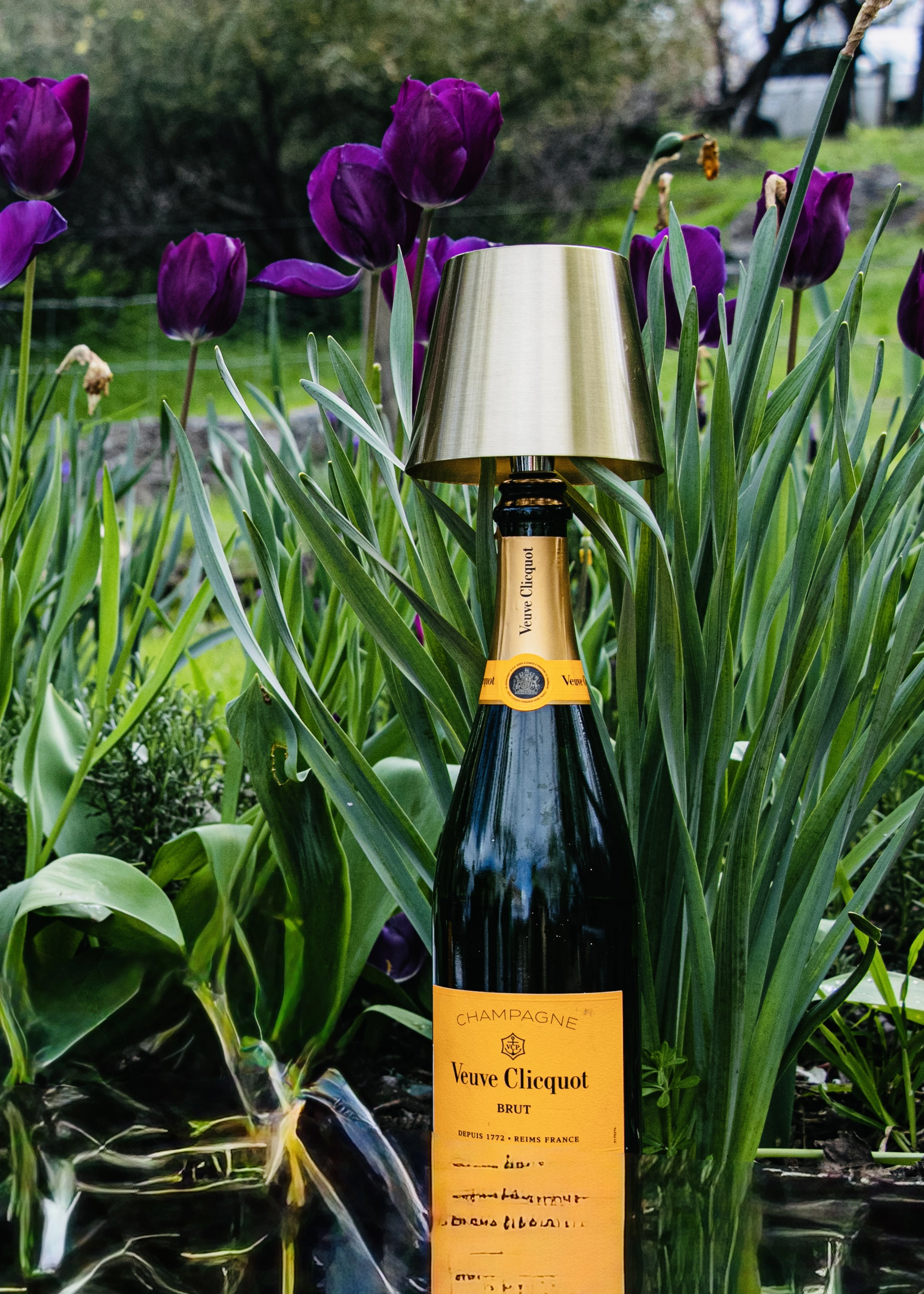 Ooh La La gallery image